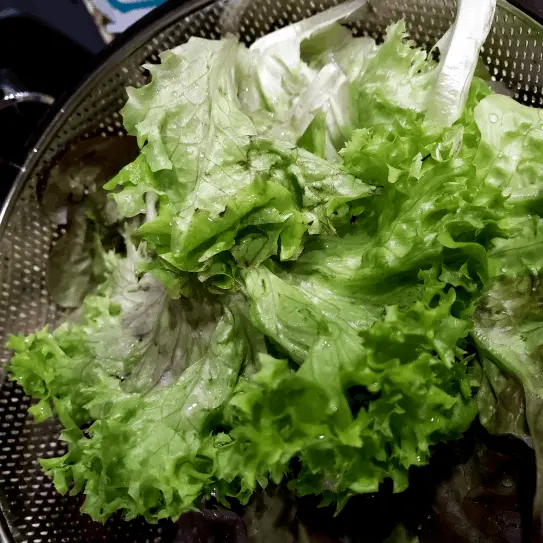 leaf lettuce